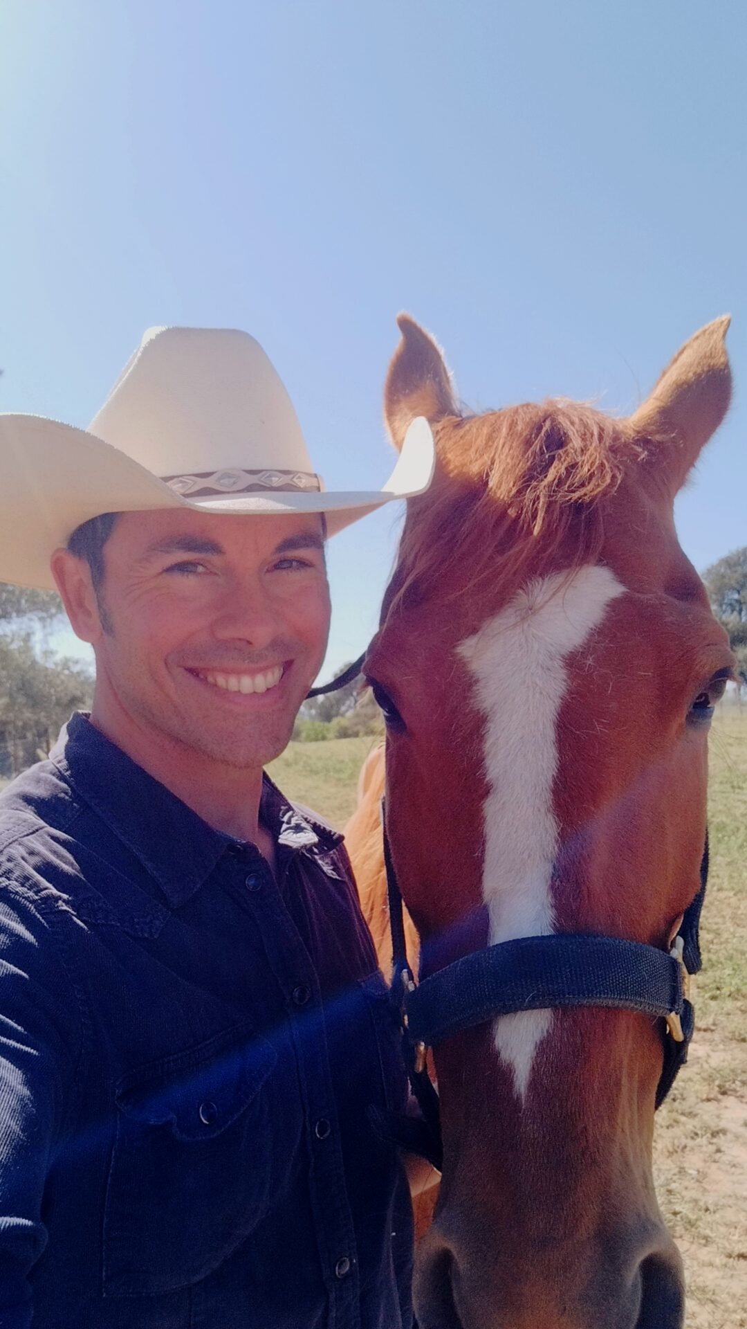 Cowboy junto a un caballo