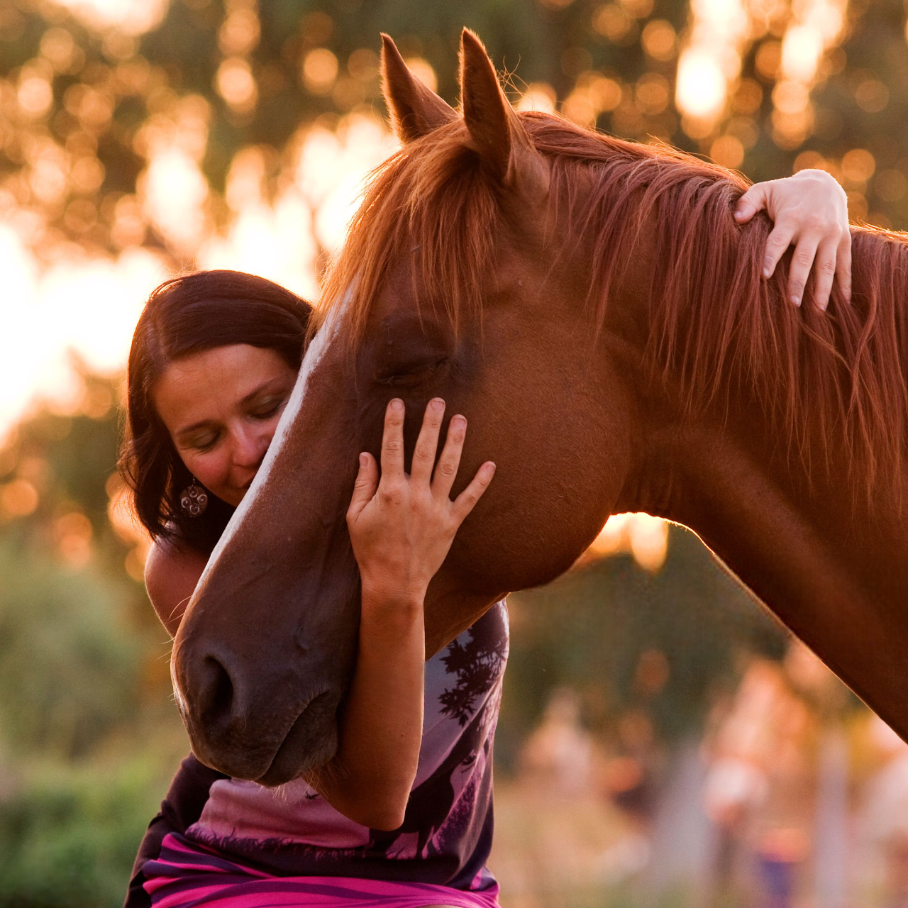 Mujer joven abrazando la cara de un caballo en el atardecer