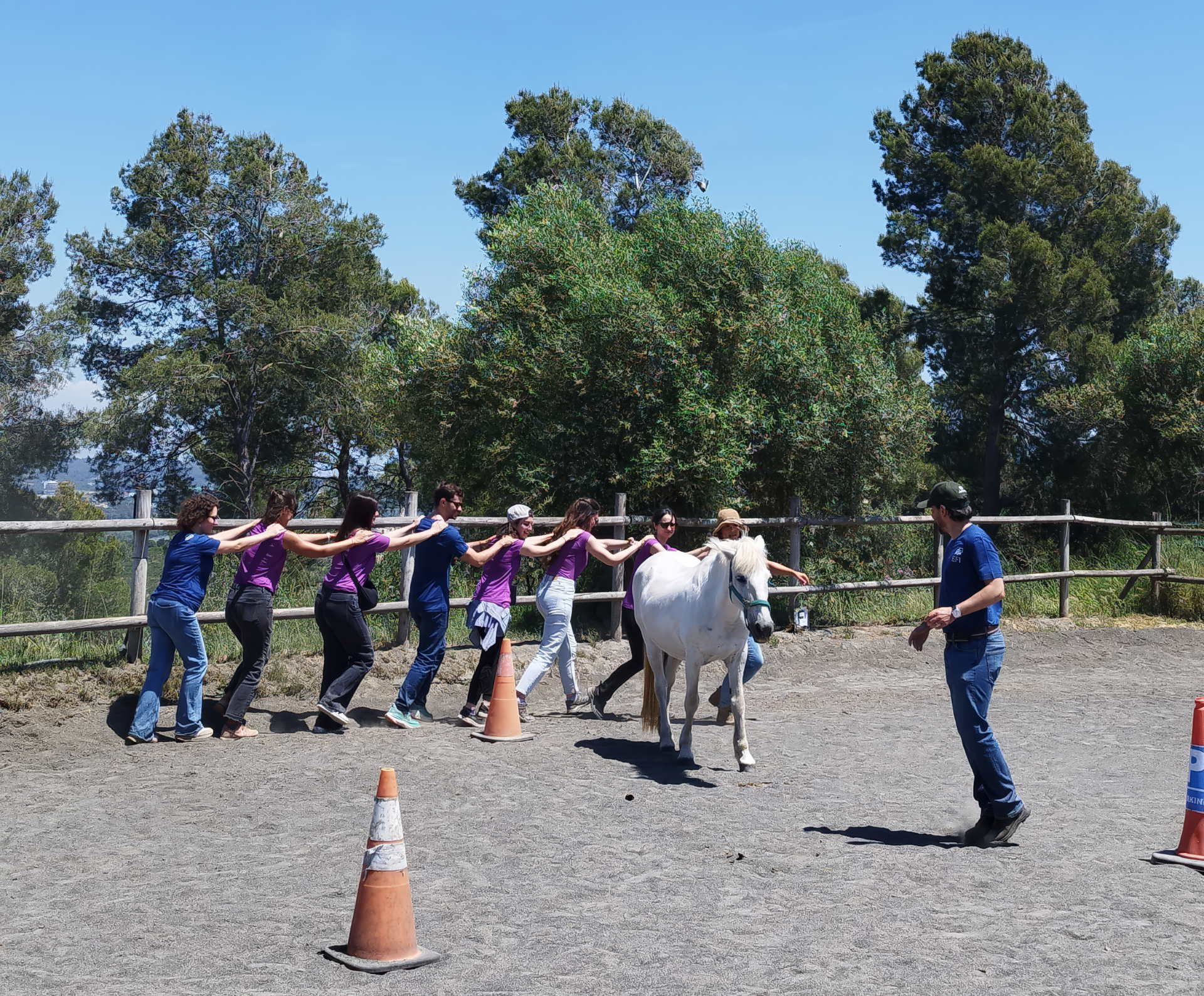 Teambuilding con caballos barcelona cavalls de calma